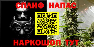 apvp Пугачёв