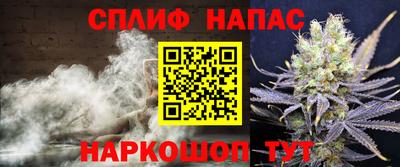 apvp Пугачёв
