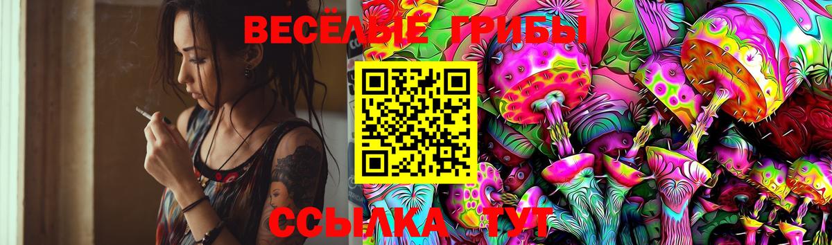 Галлюциногенные грибы Psilocybe Орёл